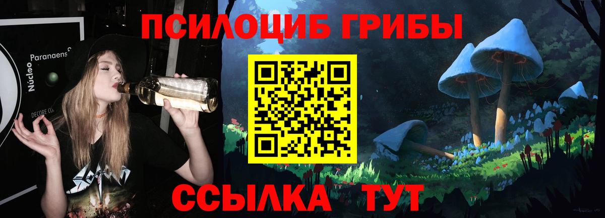 Псилоцибиновые грибы Psilocybine cubensis  Галлюциногенные грибы MAGIC MUSHROOMS  Пугачёв  Вход с VPN 
